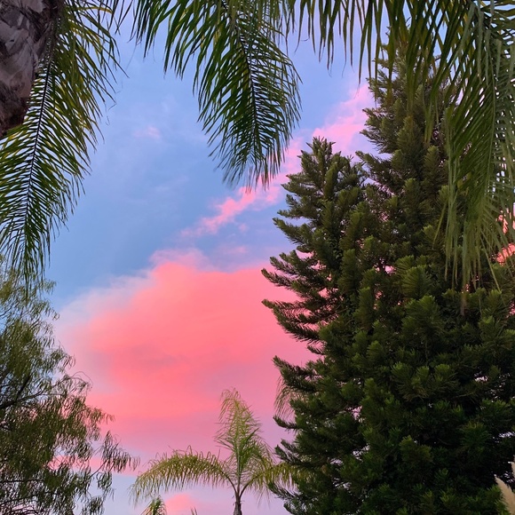 Meet your Posher - Picture 2 of 11